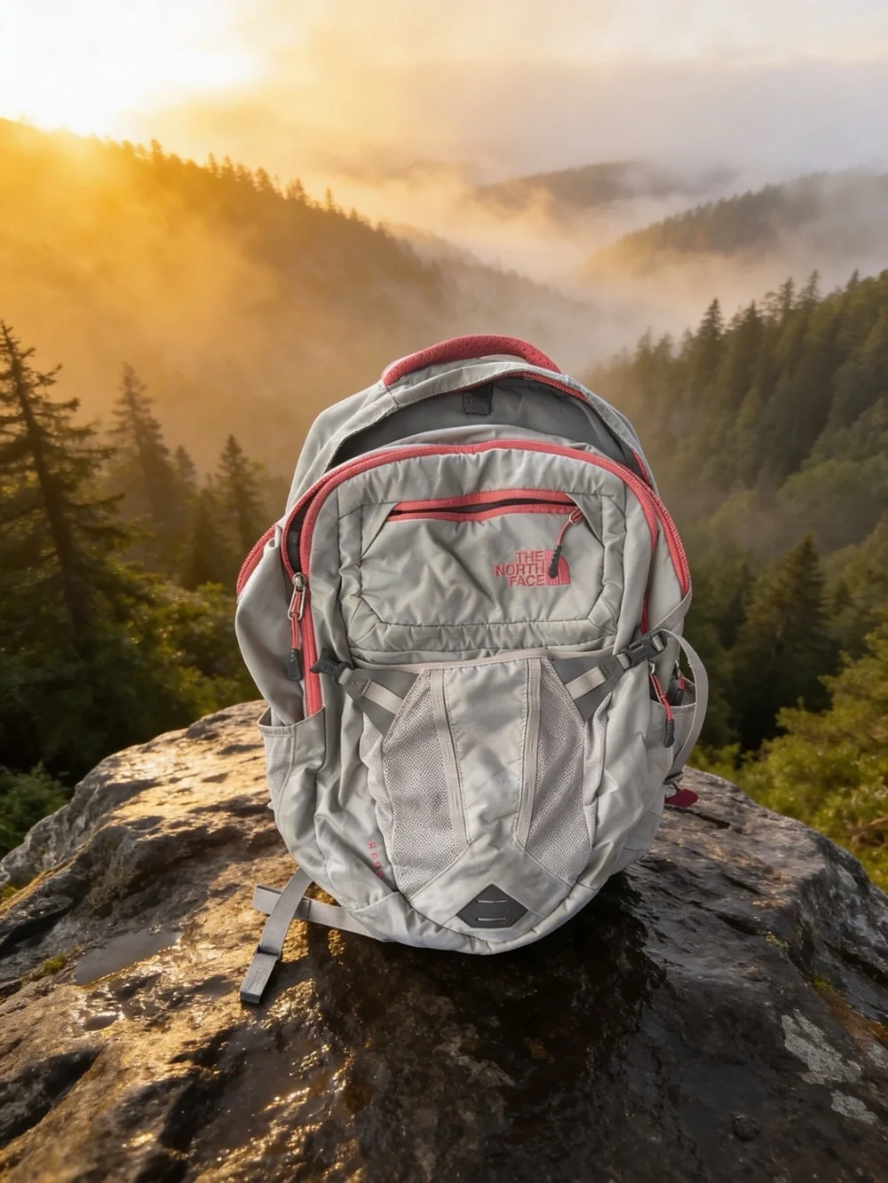 sit n relax hauck – Onlineshop Backpack Purple Borealis O Color:Forest Green Sun Canopy / Forest Green Fabrics / Black Base Precision charging performance